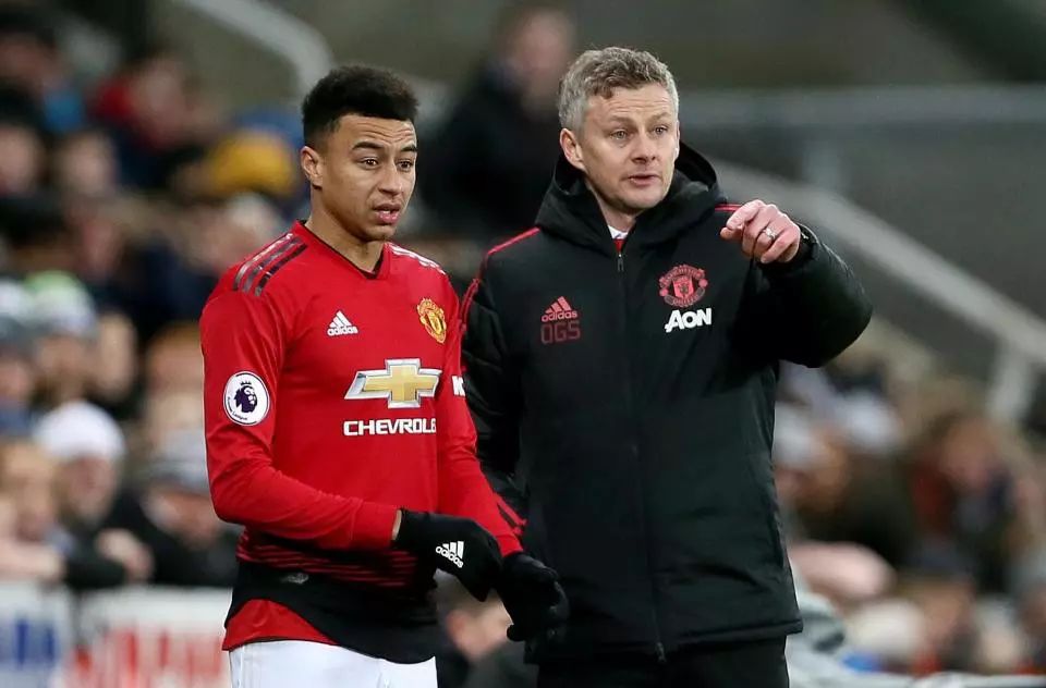 情感和动力 情感和动力